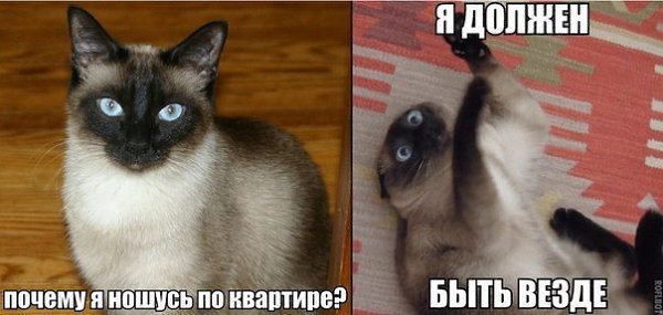    :D - 6  2015  09:39