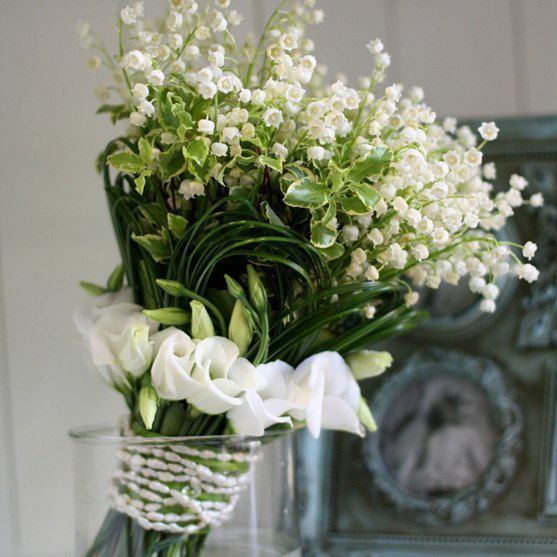 ||  ... || - 8  2015  16:50 - 4