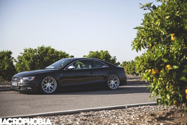 Audi S5. - 7