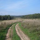  , -, 56  -  2  2015   