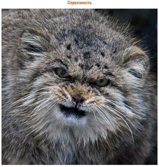       .        ... - 6