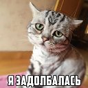 ���� ������, ������������ - ��������� 12 ������� 2015 � ������ ������ ��������