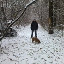 ���� ������, ������, 50 ��� - ��������� 18 ������� 2015 � ������ ���� ����������