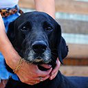 ���� ������� � ������ �������� ���, ������, ��������� � ���������! ����� ����������, ����������, ����� ������� � ����� � �����! ������ ������ ������, ���������� � ���� ����������� ����������! � ��� ���� � ��������� �����, ���� �������� ��� ����� ������� �����!
���� ������, ��������� �� ������, ������ ����� ����.
����� ��� ������ ����������, �������� �� ������, �������� �������, �������� ������ ���������, �� ������ �� � ������������, ���������� � ���� ��������� ���������! ��� ������� ������ ����� �� ������� ���������