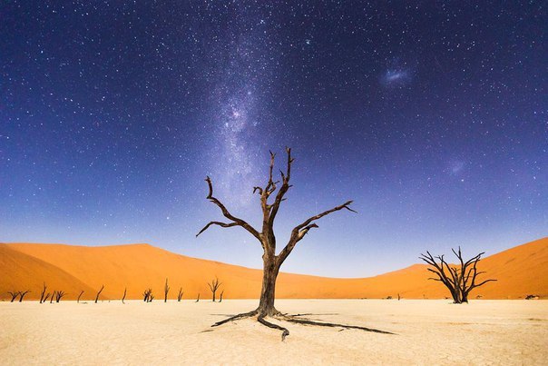    National Geographic      ... - 3