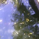    -  ,  -  31  2015   .  2015.  .  6-.