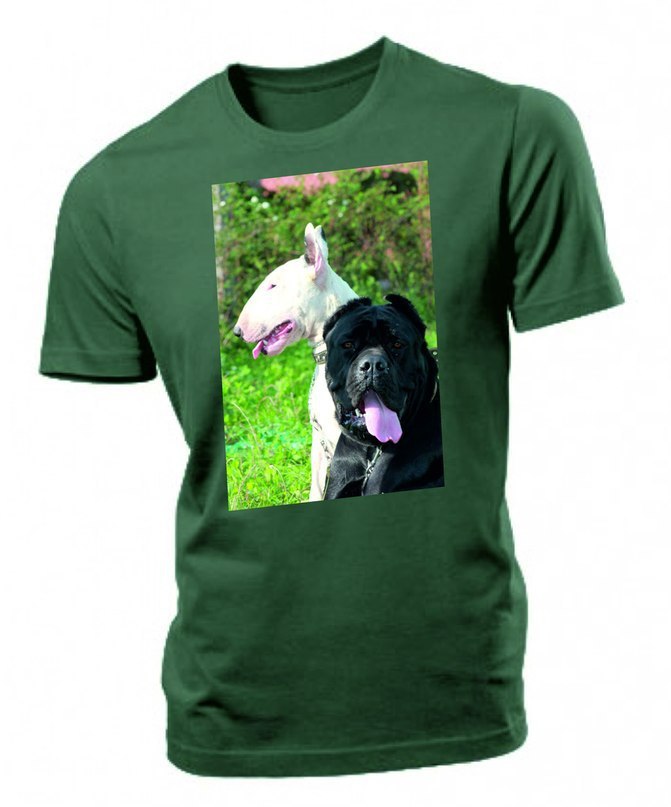 СТАРТУЕТ КОНКУРС