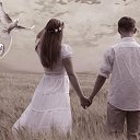 ���� ����, ������-��-����, 53 ���� - ��������� 9 ��� 2015 � ������ ������ ��������