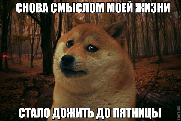    :-) - 25  2015  09:41