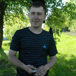 ����, �������, 33 ����