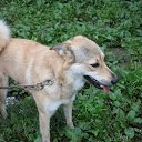 ���� ��� � �������� ������� ������������� ������� ����. �������,�������,�������������,� ��� �� ����������.
��� ������ �������� ����������,� ����� ���� �� ��������� ������������ �� ���� �����,�������� ����������� � ���� ����� �����!
���������� ����������� � ������ ����������� ������� ���� ������!
�.������������
�������: �������
�������:8-916-052-63-10 �� ������� ���������