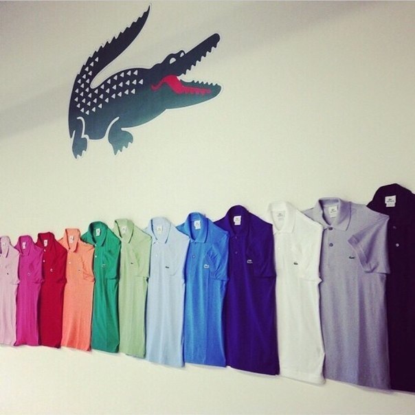 POLO LACOSTE -   ! 100% ! !!!  72%  !  ... - 2