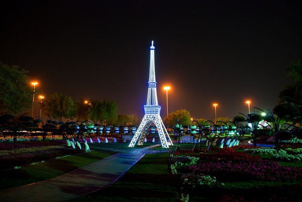 Dubai Miracle Garden -       - 8