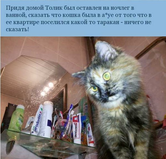   - 2
