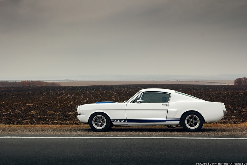 Ford Mustang Shelby GT350. - 2