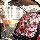 ���� ����� �����������, �����, 47 ��� - ��������� 16 ���� 2015 � ������ ������ ��������