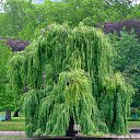 ���� Vancherok, ������ - ��������� 28 ��� 2015 � ������ ���� ����������