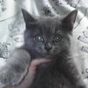 ���� �������, ������ - ��������� 14 �������� 2015 � ������ �����������