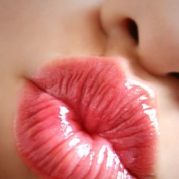 Aleksa, ������