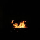 ���� Petyunya, ����, 41 ��� - ��������� 19 ������� 2015 � ������ ���������-�����