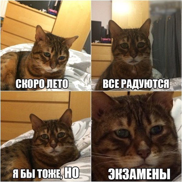    :D - 26  2015  04:50