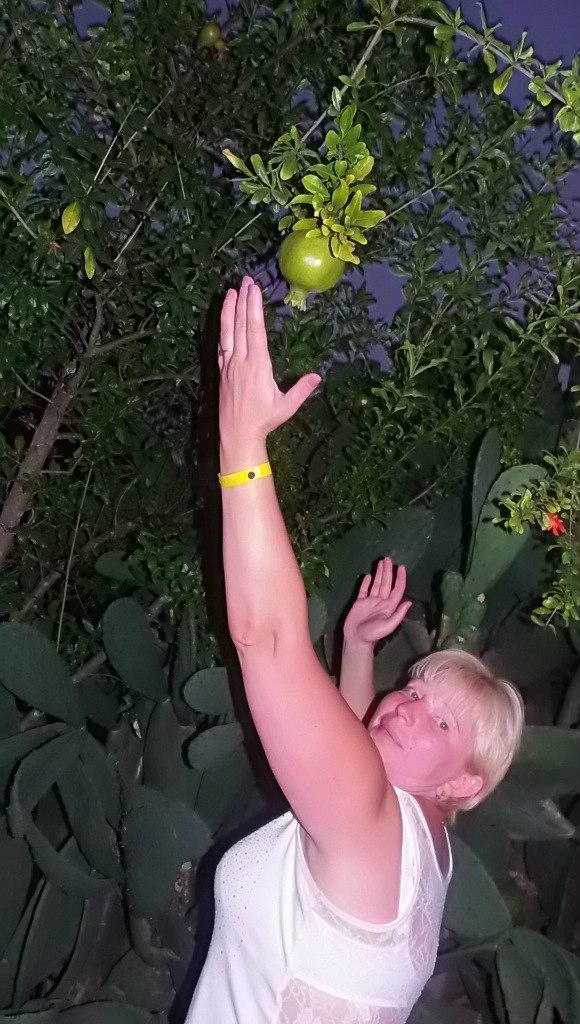 �������� �������� - 11 ��� 2015 � 15:29 - 2