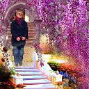 ���� ���������, ������� - ��������� 26 ������� 2015 � ������ ������ - ������ �����������