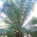    -  ,  -  24  2015    2014.   .  10-.