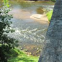 ���� ����, ������� ��������, 55 ��� - ��������� 8 �������� 2015 � ������ ���� ����������