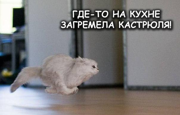   - 29  2015  00:30