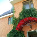 ���� ������, ������, 52 ���� - ��������� 23 ������� 2015 � ������ ����� ��� ����