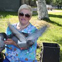 ���� ����, ����� - ��������� 17 ���� 2015 � ������ ���� ����������