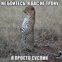 ���� ���������, ������, 65 ��� - ��������� 28 ��� 2015 � ������ ���� ����������