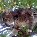  ♥♥, - -  10  2015    