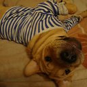 ���� �����, ������-��-����, 57 ��� - ��������� 11 ���� 2015 � ������ ���������)))�