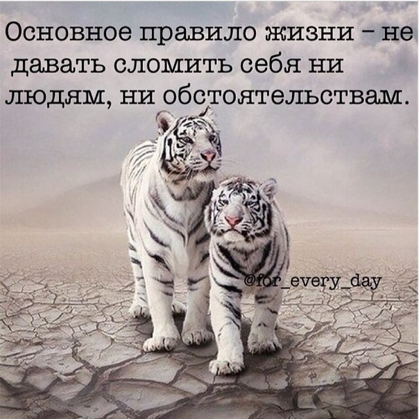  -   - 13  2015  11:15