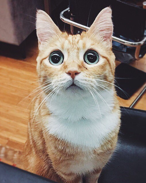 ������ - 21 �������� 2015 � 14:25