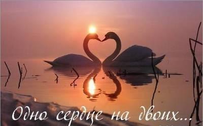 Я хочу быть с тобой. Даже там, где нет слов и надежды. Даже там, где, взобравшись на скалы, ...