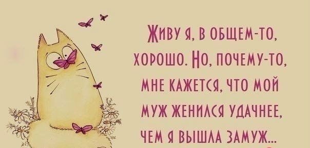   |  |  - 21  2015  15:40