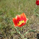 ���� Lena, ������������ - ��������� 30 ������ 2015 � ������ ����������
