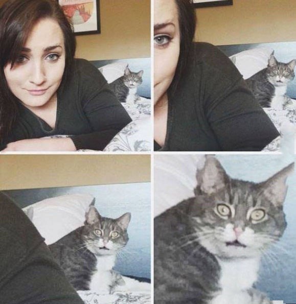 , !