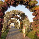 ���� ������ ��������� �� ������� ����� ��� ������������