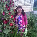 ���� �������, ������ ��������, 67 ��� - ��������� 16 ���� 2015 � ������ ����� ���������