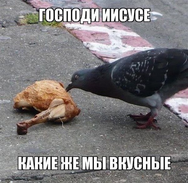 Приглашаю в группу,где море позитива: fotostrana.ru/prikolyzikfun/