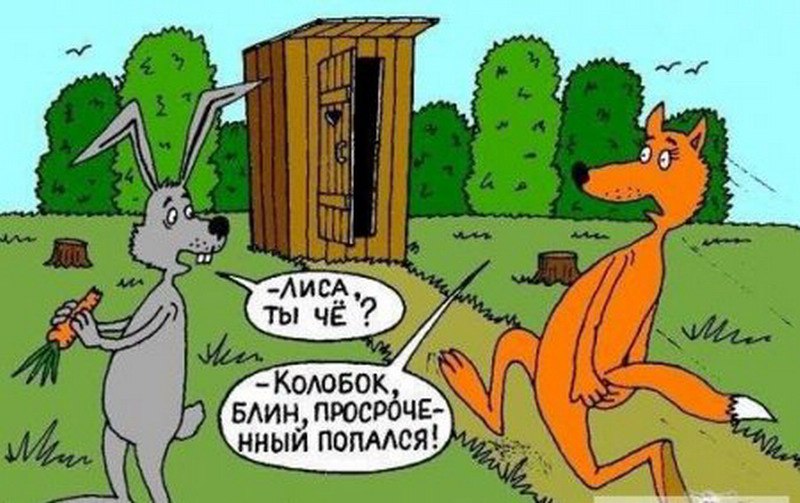    . : - .  -       . -  ...