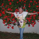  , , 71  -  22  2015   2015