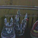 ���� ������, ������, 44 ���� - ��������� 3 �������� 2015 � ������ ���� ����������