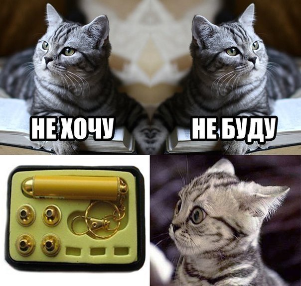   - 6  2015  14:32