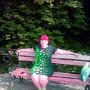  ,  , 67  -  29  2015    2015