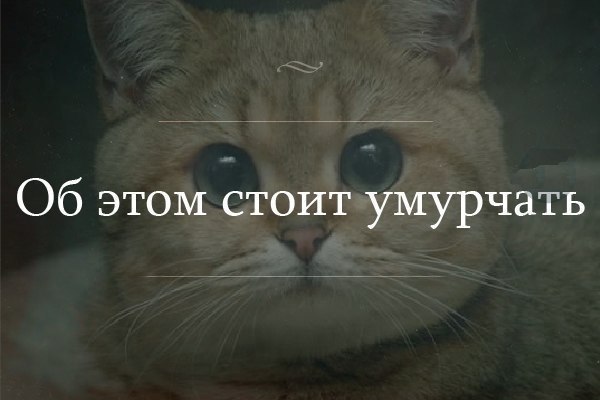  - 14  2015  20:18